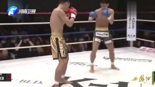 崇阳最新爆料新闻视频播放,视频揭秘惊人内幕，真相令人震惊！