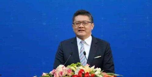 王成文妻子爆料视频大全,揭秘夫妻恩怨与家庭真相