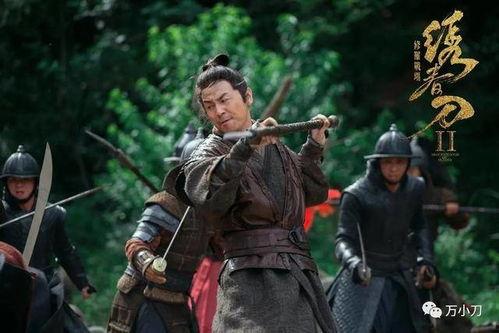 绣春刀2手机在线观看,暗夜行动，手机在线观影指南