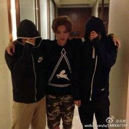 老高家世爆料视频,传承与荣耀的世系揭秘