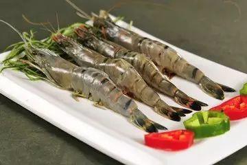 大虾养殖爆料方法大全视频,视频爆料方法大全解析