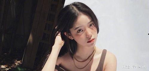 狗崽爆料娱乐圈,娱乐圈幕后真相大揭秘