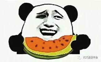 吃瓜群众网不红