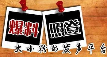 四川新闻爆料平台