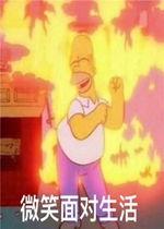 疯狂吃瓜小说免费阅读