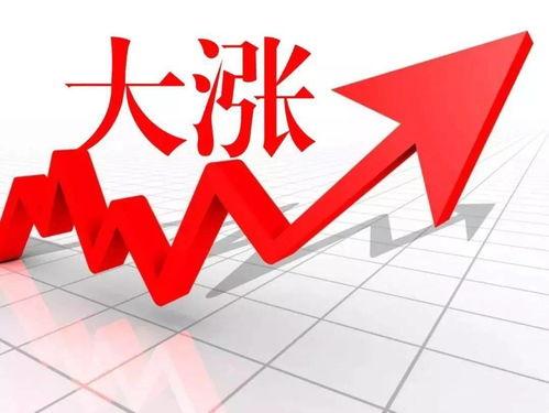 猪价最新爆料新闻网站,最新爆料揭示市场动态与养殖户困境