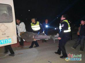 遂川爆料哥偷铁新闻,揭秘背后真相与反思