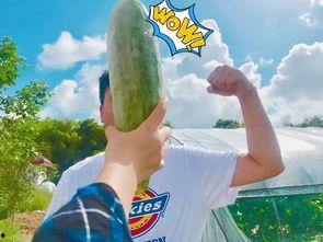 网红吃瓜爆料. com