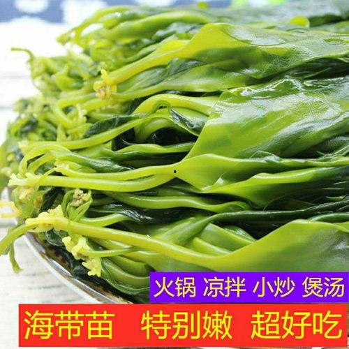 海带苗嫩苗爆料怎么做视频,视频制作攻略全解析